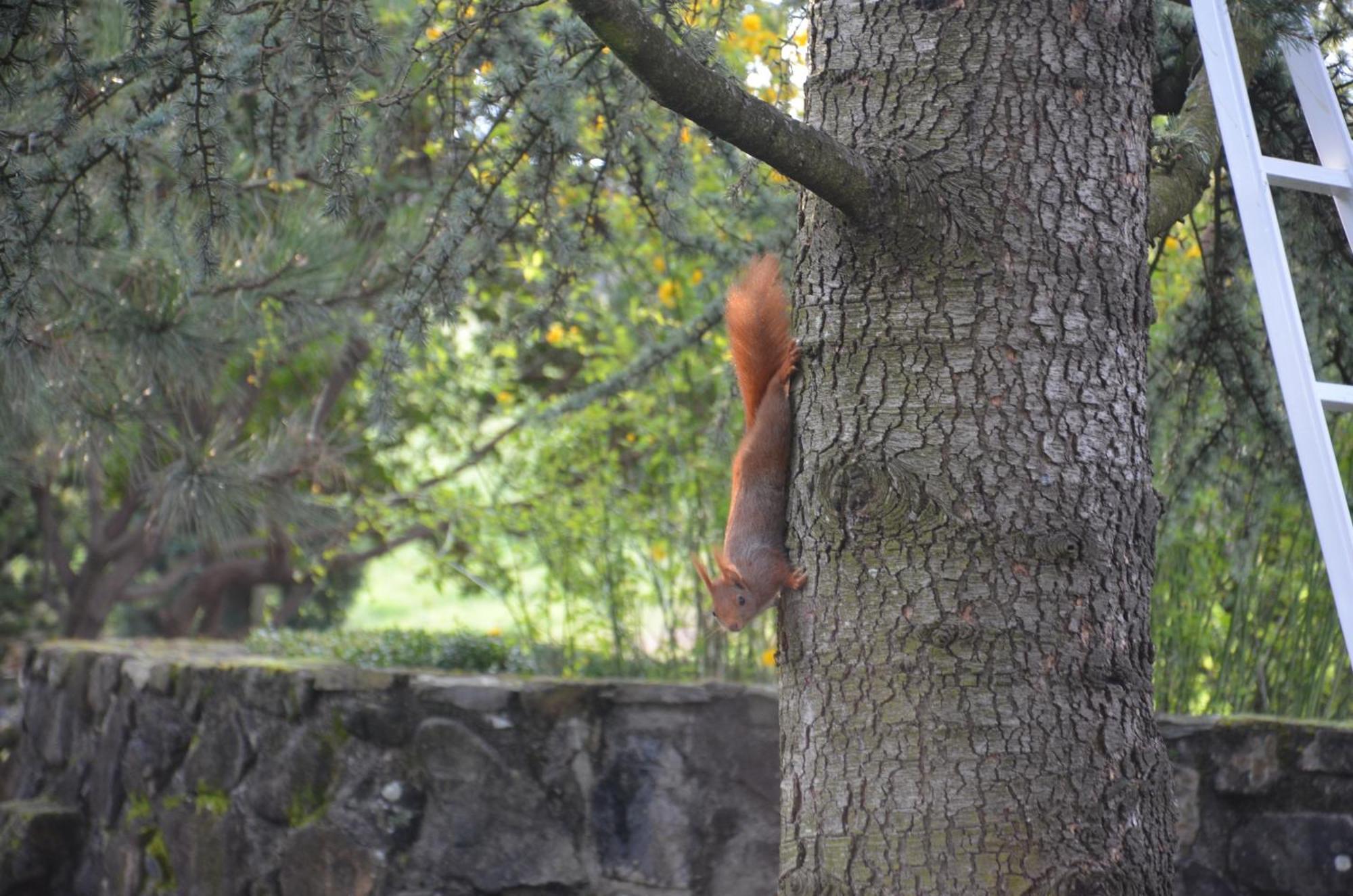 Domaine Insolite Du Petit Moras Chomérac Exteriör bild